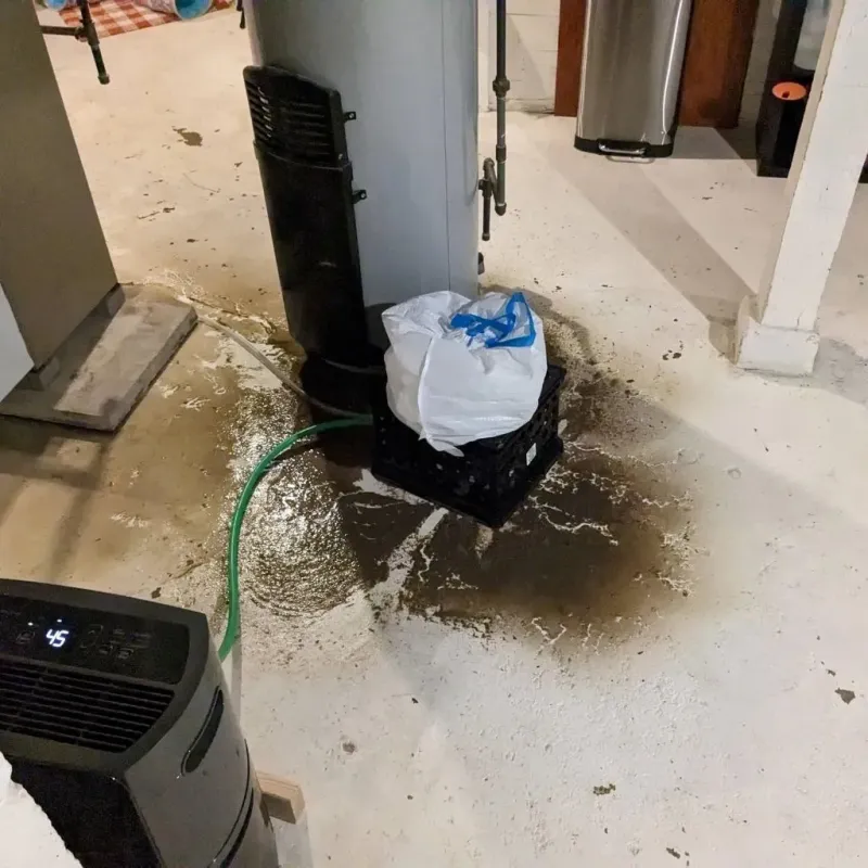 Sewage Backup Cleanup Service in Greenville, MO